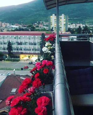 Се продава стан во Мида 53m2